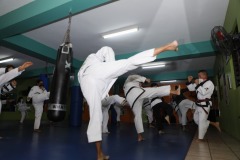 Karate-2022-02-19-01